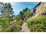 1811 Rosefinch Ln - Photo 44