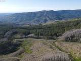 1 Middle Horse Creek Rd - Photo 11