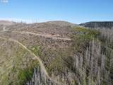1 Middle Horse Creek Rd - Photo 3
