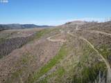 1 Middle Horse Creek Rd - Photo 4