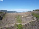 1 Middle Horse Creek Rd - Photo 5