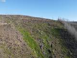 1 Middle Horse Creek Rd - Photo 7