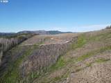 1 Middle Horse Creek Rd - Photo 8