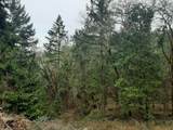 0 Lookingglass Rd - Photo 3