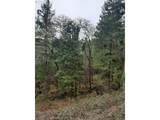 0 Lookingglass Rd - Photo 4