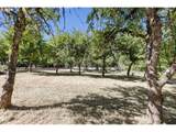 25412 Jeans Rd - Photo 31