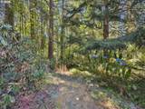 22073 Wild Fern Ln - Photo 35