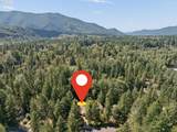 22073 Wild Fern Ln - Photo 43