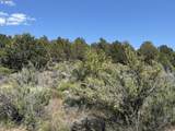  Medicine Mountain Dr - Photo 20