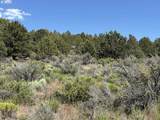  Medicine Mountain Dr - Photo 26