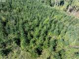 0 Whitney Rd - Photo 24