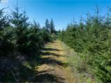 0 Whitney Rd - Photo 8