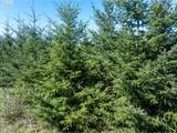0 Whitney Rd - Photo 9
