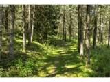 15051 Crane Ln - Photo 41