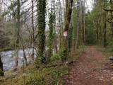  Barlow Trail Rd - Photo 11