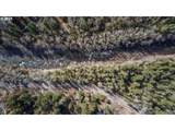  Barlow Trail Rd - Photo 14