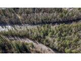  Barlow Trail Rd - Photo 19
