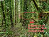  Barlow Trail Rd - Photo 4