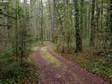  Barlow Trail Rd - Photo 6