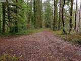  Barlow Trail Rd - Photo 7