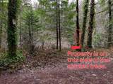  Barlow Trail Rd - Photo 8