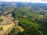  Phelps Mountain Ln - Photo 1
