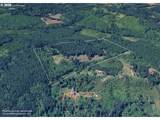  Phelps Mountain Ln - Photo 12