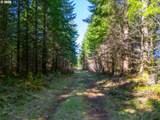  Phelps Mountain Ln - Photo 13