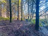  Phelps Mountain Ln - Photo 14