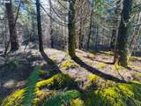  Phelps Mountain Ln - Photo 15