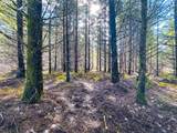 Phelps Mountain Ln - Photo 18