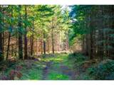  Phelps Mountain Ln - Photo 19