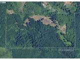  Phelps Mountain Ln - Photo 2