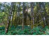  Phelps Mountain Ln - Photo 20