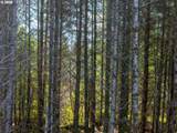 Phelps Mountain Ln - Photo 21