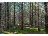  Phelps Mountain Ln - Photo 22