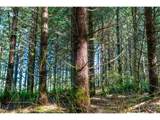  Phelps Mountain Ln - Photo 24
