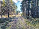  Phelps Mountain Ln - Photo 25
