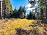  Phelps Mountain Ln - Photo 26