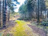  Phelps Mountain Ln - Photo 27