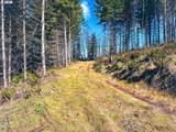 Phelps Mountain Ln - Photo 28