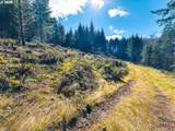  Phelps Mountain Ln - Photo 29