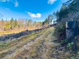  Phelps Mountain Ln - Photo 30