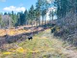  Phelps Mountain Ln - Photo 31