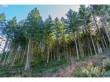  Phelps Mountain Ln - Photo 32