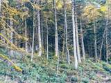  Phelps Mountain Ln - Photo 34
