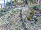  Phelps Mountain Ln - Photo 35