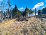  Phelps Mountain Ln - Photo 37
