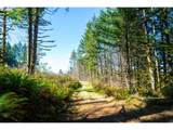  Phelps Mountain Ln - Photo 39