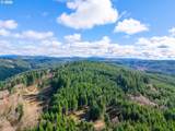  Phelps Mountain Ln - Photo 4